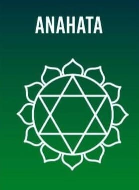 Flor de Anciano 50 g