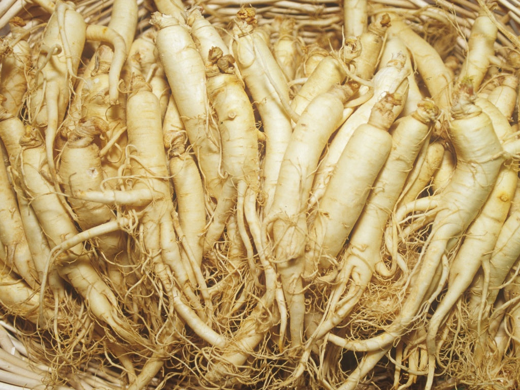 Ginseng Raíz Triturada Ritualizada 20 g