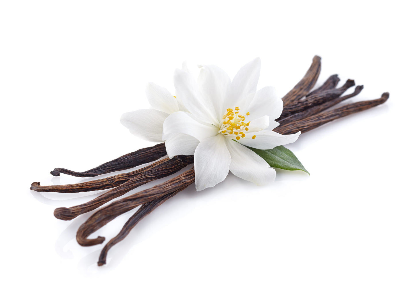 Vanilla rama